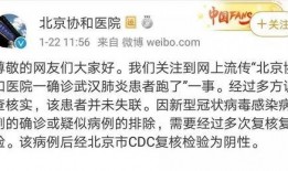 爆料新型肺炎新闻视频,揭秘病毒传播途径与防控措施