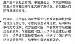 川大张薇男友爆料视频,揭秘事件背后惊人真相”